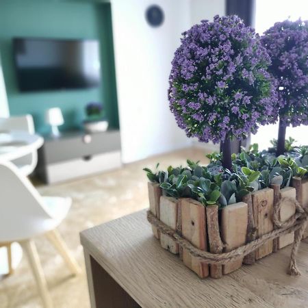 Apartament Karpaty Крыница-Здруй Экстерьер фото