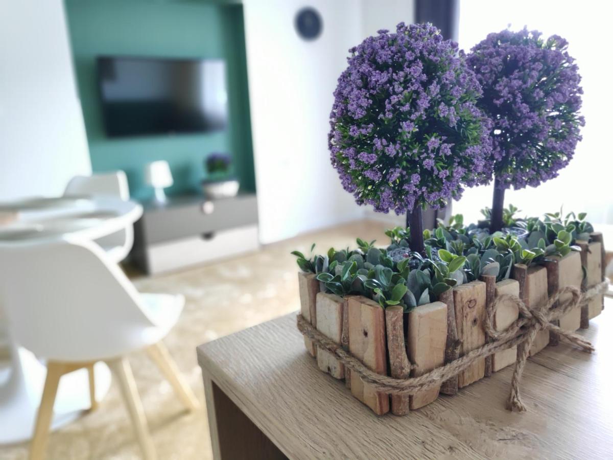 Apartament Karpaty Крыница-Здруй Экстерьер фото